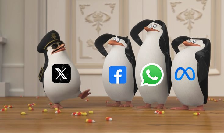 MiniDoge tweet media