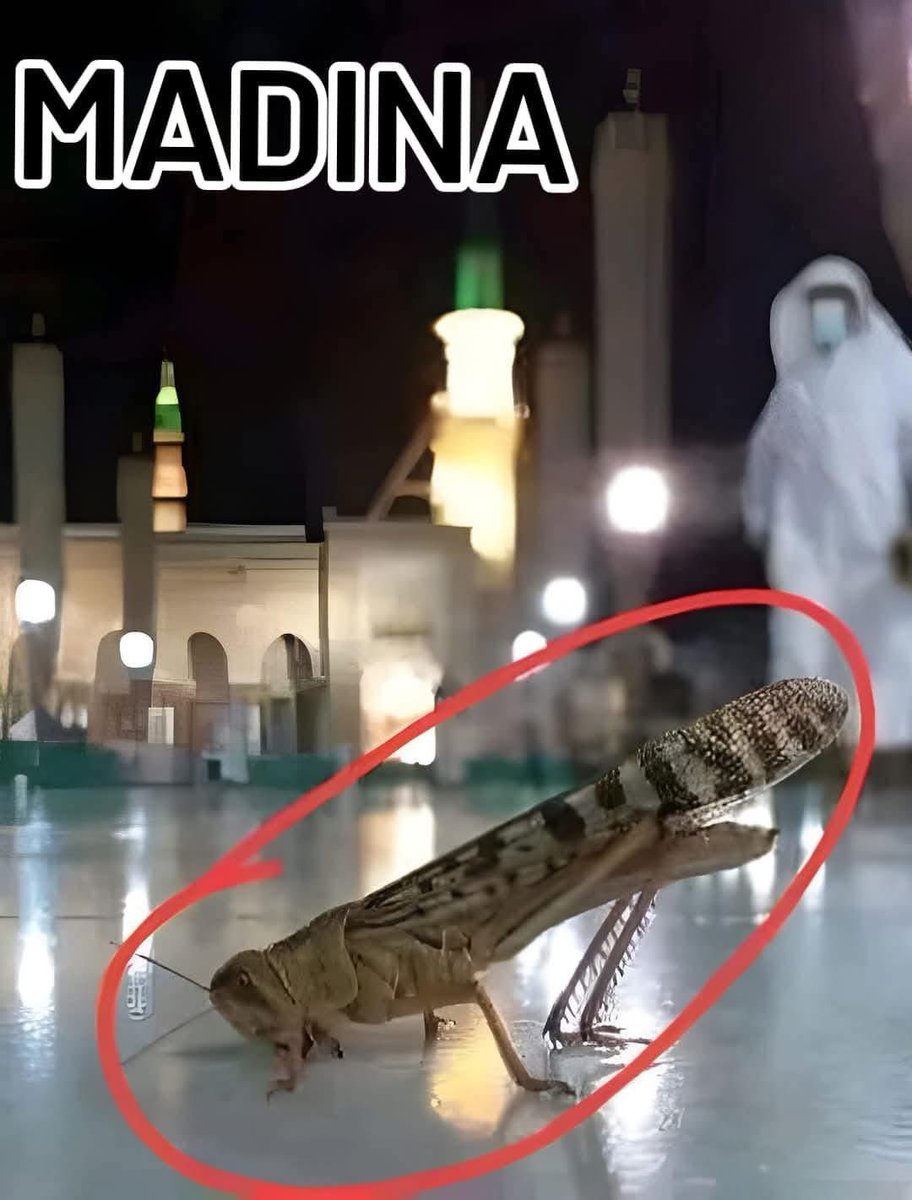 Masha Allah ♥️🖤