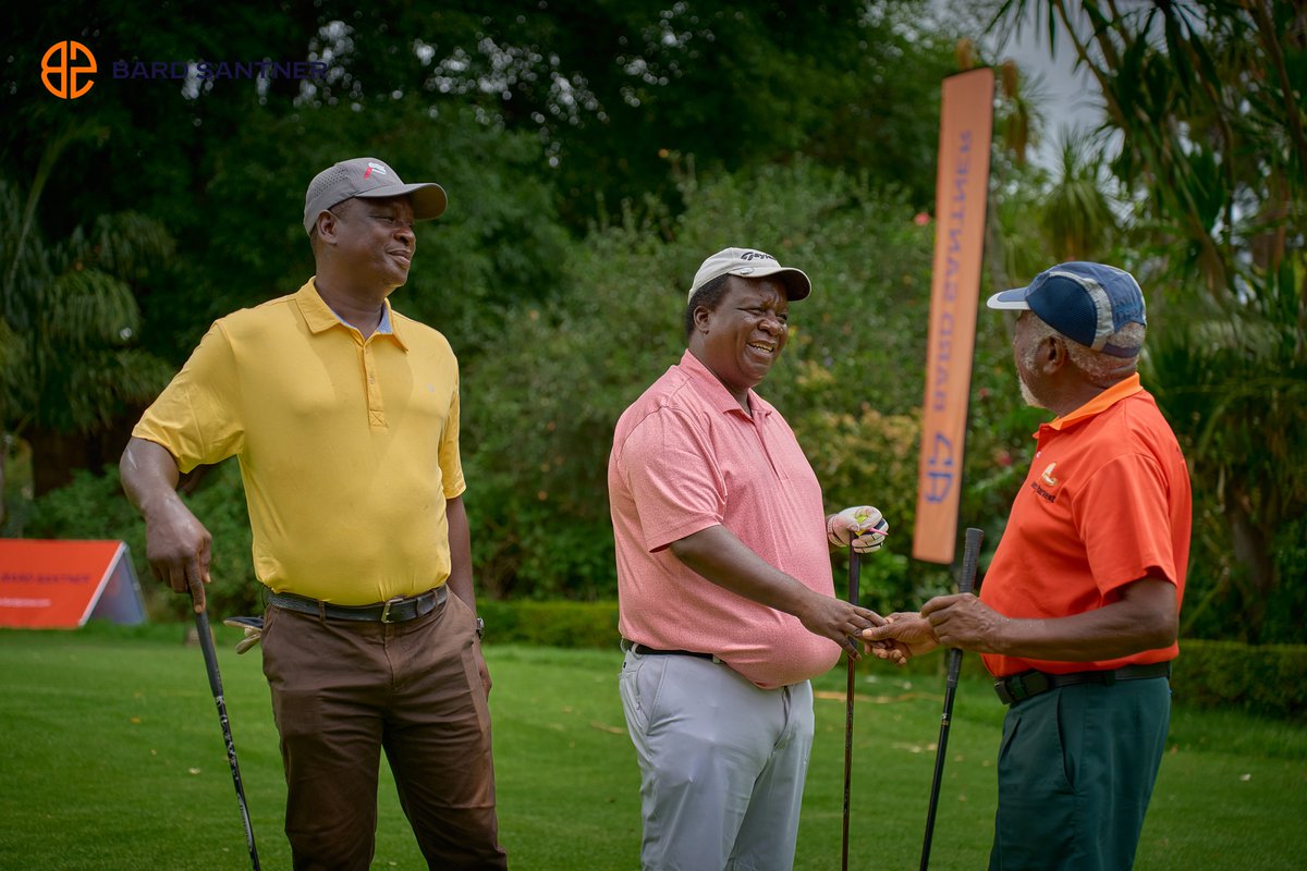 Haku Stream tweet media