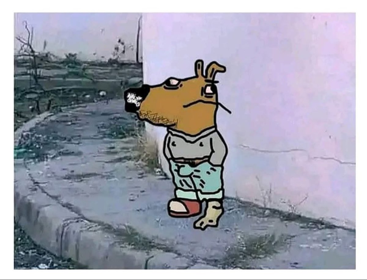 cryptojohncena's tweet image. Rekt in memecoin casino, but I’m still a @chillguycto