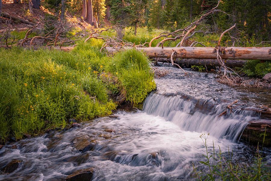 tpeakphotos's tweet photo. Kings Creek Tranquility - Lassen Volcanic National Park (Pre-#dixiefire)

Prints and assorted merchandise:  https://t.co/2pUl3sPsqx 

#lassenvolcanicnationalpark #gotakeahike #xnaturecommunity https://t.co/WbNMD1jdzy