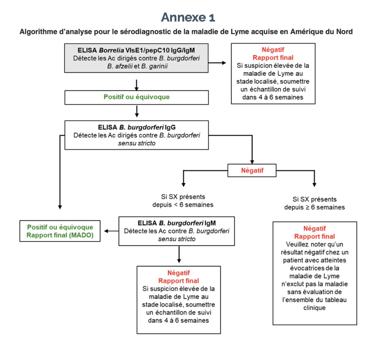 Excellente nouvelle, le Québec adopte un nouvel algorithme de dépistage de la maladie de #Lyme.

Cette nouvelle approche permettra un diagnostic plus précis (sensibilité accrue) et réduira le temps pour obtenir un diagnostic.

Note éditoriale : ne reste plus qu'à décentraliser le