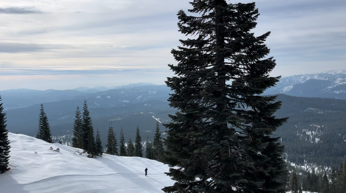 KRCR7's tweet photo. The Mount Shasta Ski Park opened on Dec 11, almost a month earlier than last season's opening on Jan 10.
FULL STORY: https://t.co/vwMXoVcSn1
#mountshasta #skipark #winter #snow #northstate https://t.co/b2l4tedCFo