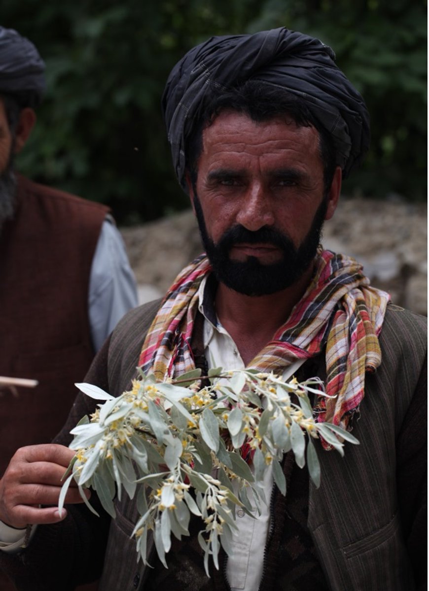 Professor Michael Keusgen from Philipps-Universität Marburg, Germany will be sharing the highlights of a project he established in 2013 investigating the traditional medicine of Afghanistan.

📅Date: Wednesday 18 December
⏰Time: 12 pm - 1 pm
📍Location: Lismore Campus Room A1.14