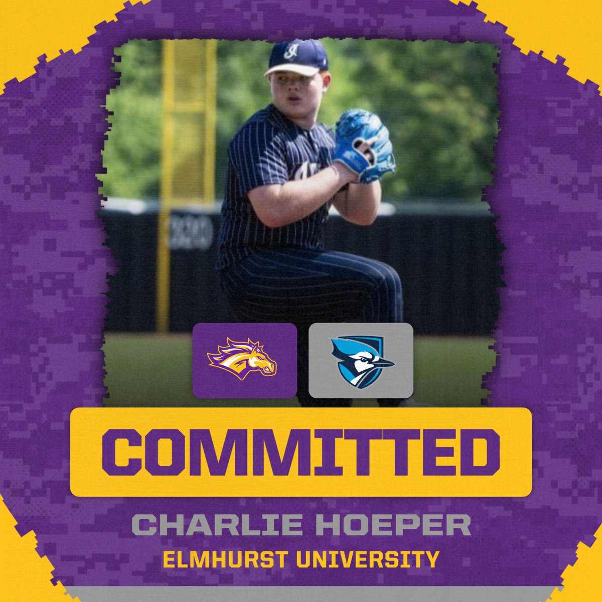 Rolling Meadows Baseball tweet media