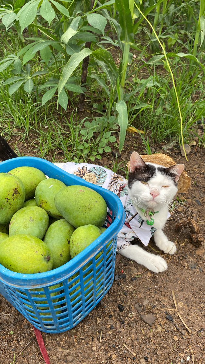 𝙋𝙤𝙣𝙞 😾 tweet media