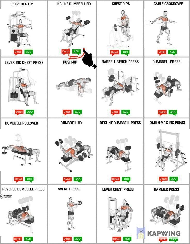 FitnessGuide0's tweet photo. The Best Chest Exercises Workout Bodybuilder https://t.co/ZVmnQKUbYa