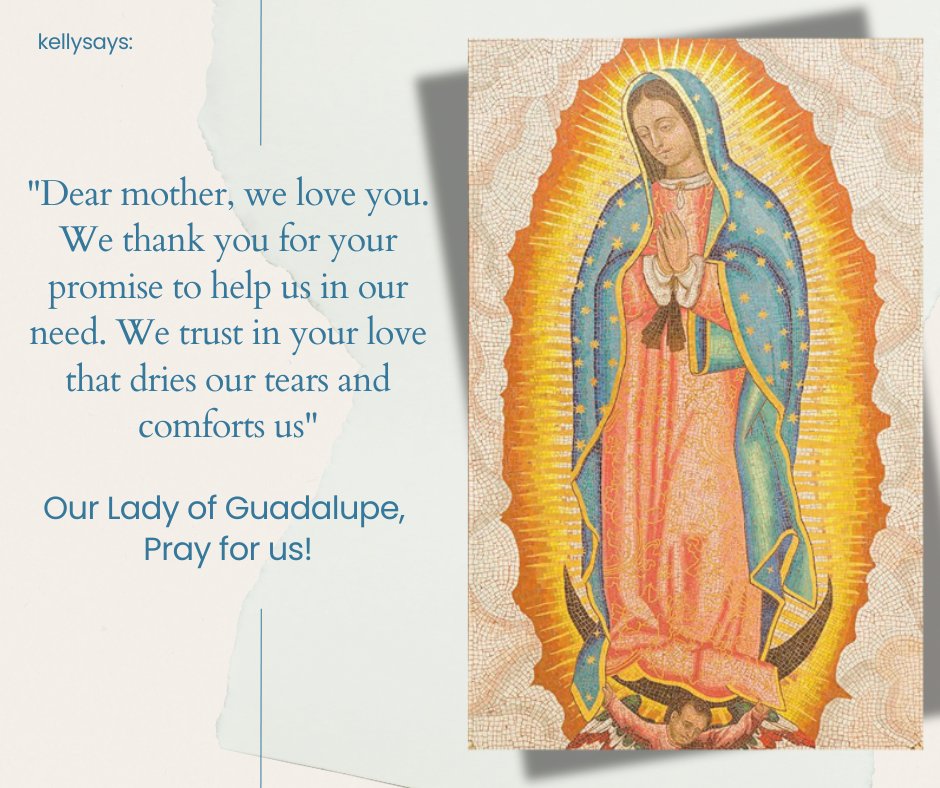 01kellythomas's tweet image. Feast day of Our Lady of Guadalupe. 
Our Lady of Guadalupe, pray for us! 🩷🌹 #kellysays #posttoshare #viralpost