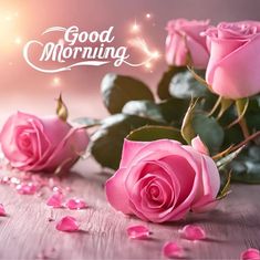 Arvind_2929's tweet photo. हर मुश्किल का सामना हंसकर करो,
क्योंकि हंसने वाले की कभी हार नहीं होती..!!
Good Morning Dear X Family..!!
  #शुभ_प्रभात_वंदन https://t.co/Jw7I1PIL7s