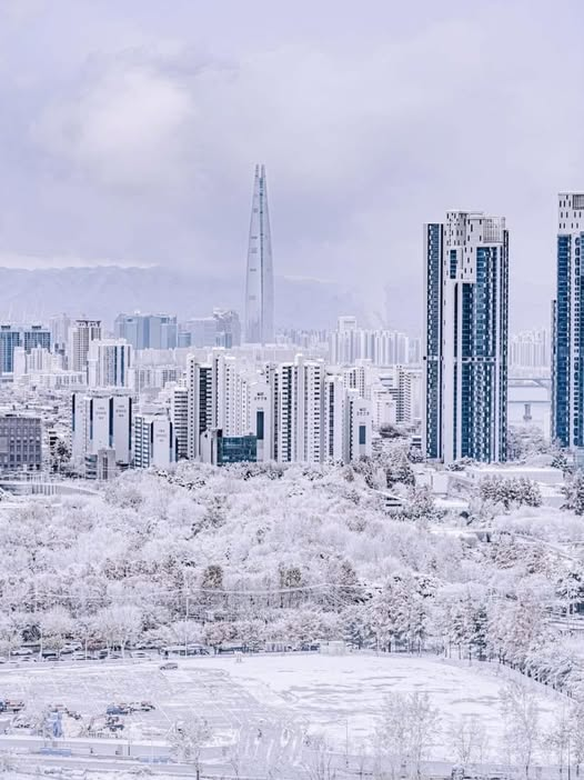 mrantoniopeters's tweet photo. Syracuse, Seoul
❄️❄️⛄️⛄️🛫🛫
Winter is coming. 
#Seoul https://t.co/nxZEpJIZ0b