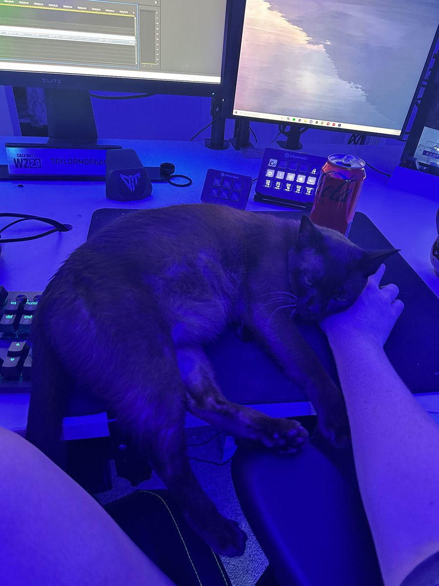 TaylorMorganS_'s tweet image. Sorry guys videos will be late this week because of this bitch