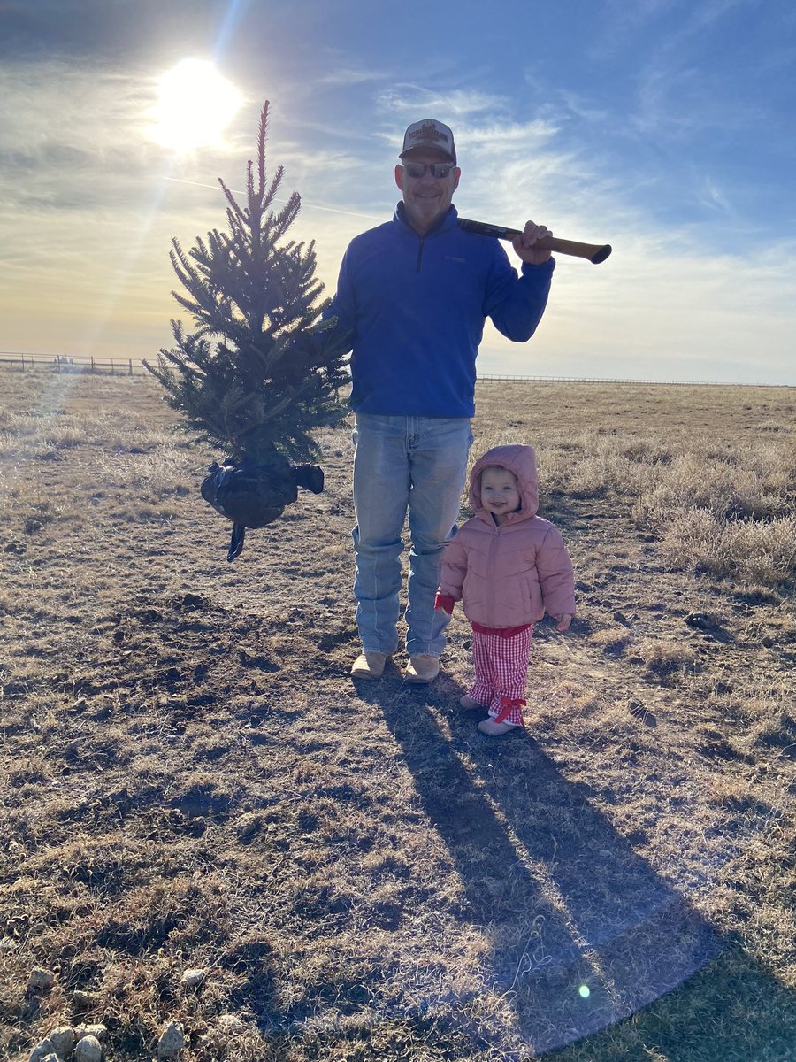Well we got Viv’s Christmas tree found today, wasn’t easy growing a pine tree in horse pasture:), but we got it done.  Making memories as long as we can!  Lovey has been looking forward to this day for over a year.  Love Pops.