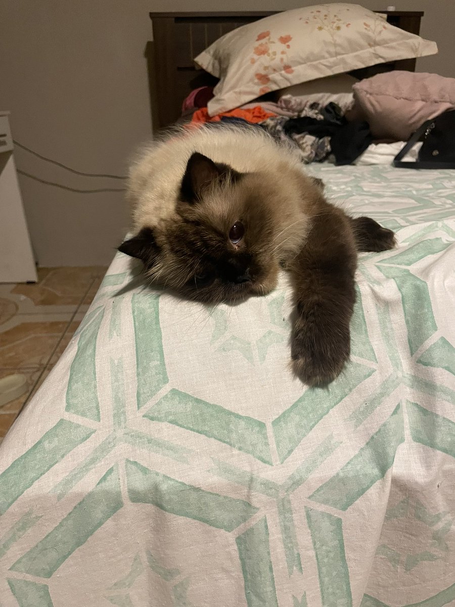 odalgiss's tweet image. ❤️‍🩹