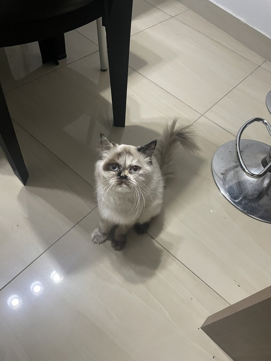 odalgiss's tweet image. ❤️‍🩹