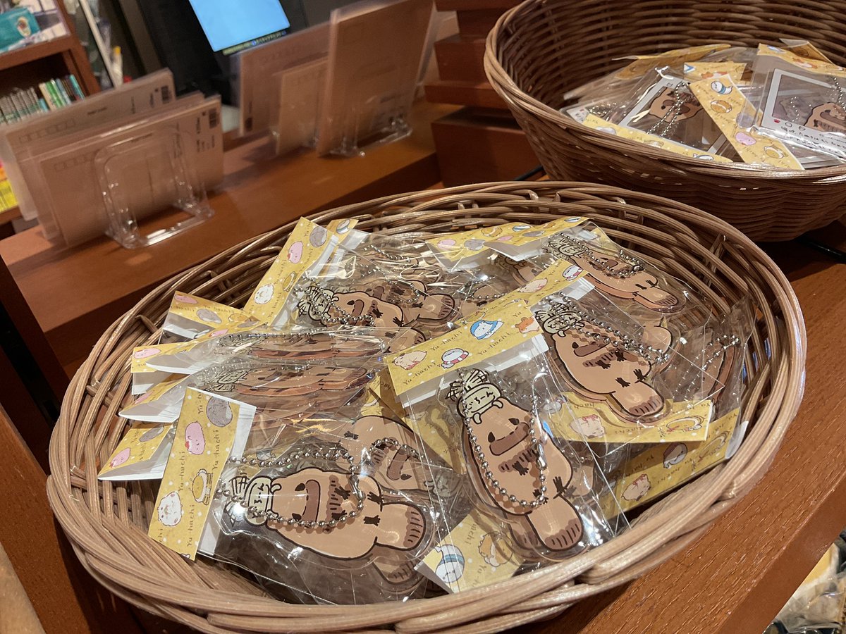 たぬき再来‼️ᕙ( 'ω' )ᕗ たぬきドローンアクリルキーホルダーが再