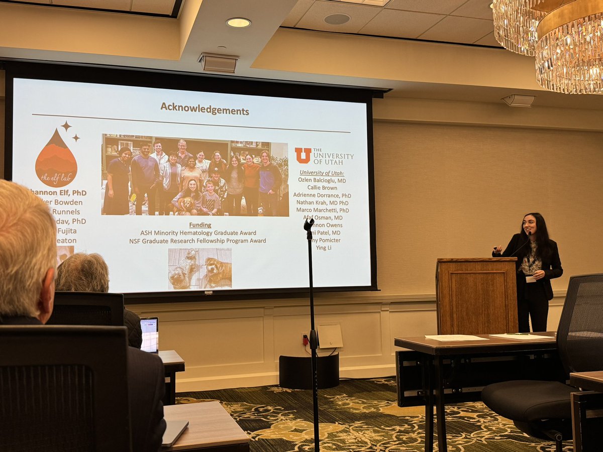 Nicole Arellano tweet media