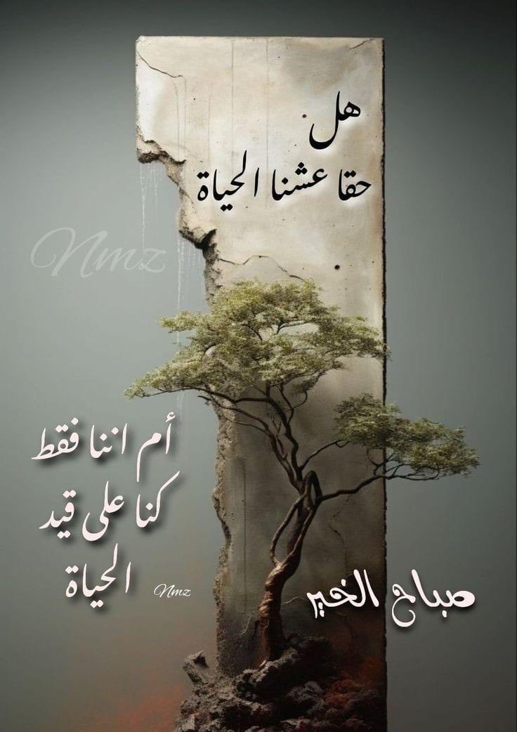 علي بن أحمد الزهراني (@ali1077z) on Twitter photo 