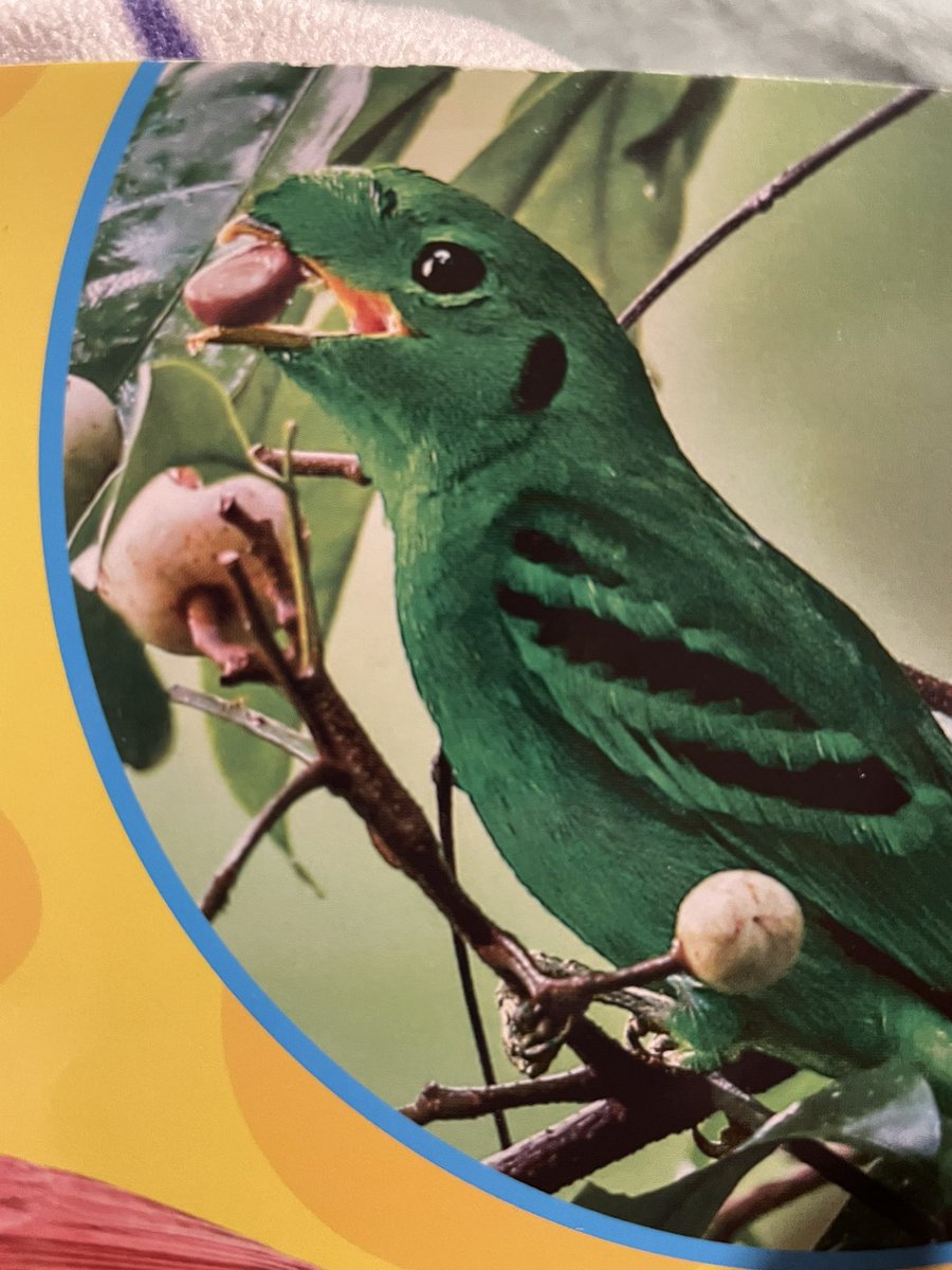 Minnesota Tunes tweet media