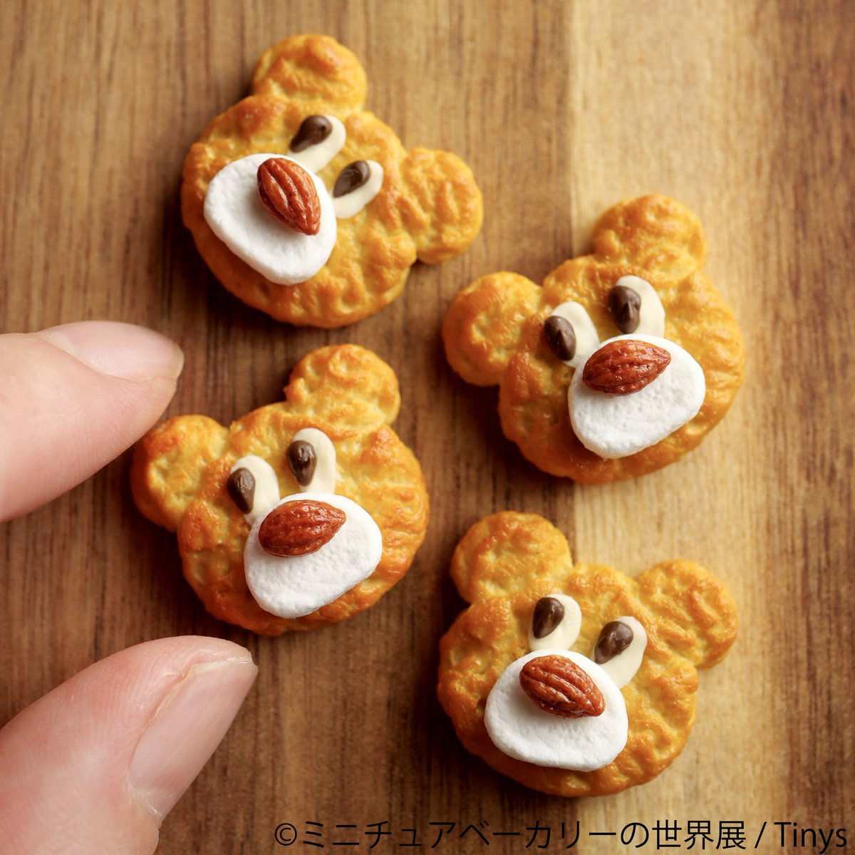 イープラン(eee-PLAN) tweet media