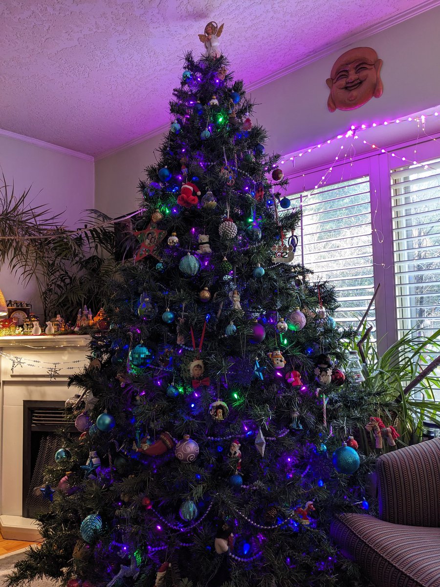 odiesislandlife's tweet photo. Anyone else have a fake tree they stuff with real branches from outside so it's fuller and smells real? Cause I do that 🤣🌲 #SHOWMEYOURTREE #Christmas2024 https://t.co/JrxHPk2kSz
