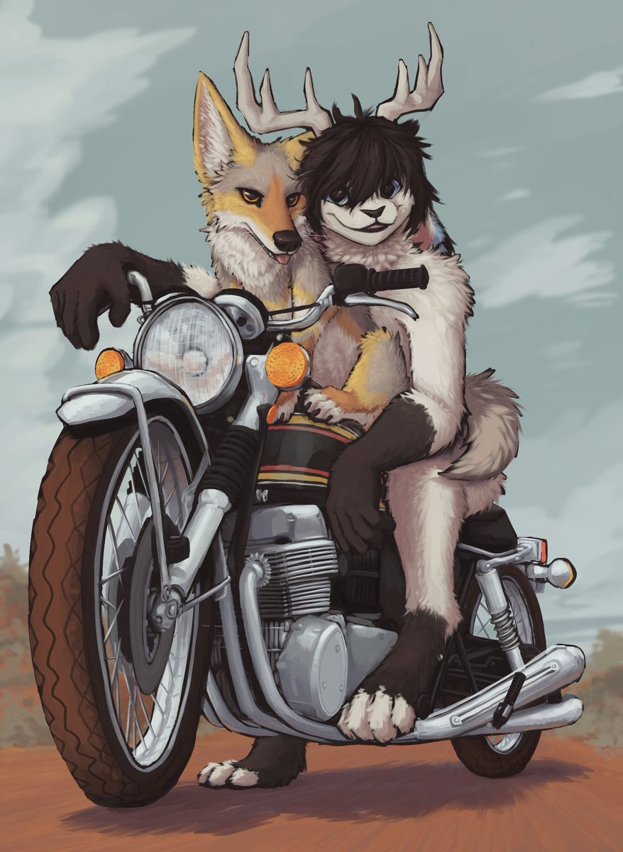 Yote ☉∇ tweet media