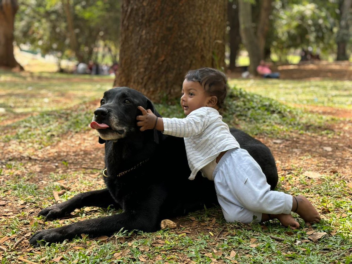 Mudit Dandwate tweet media