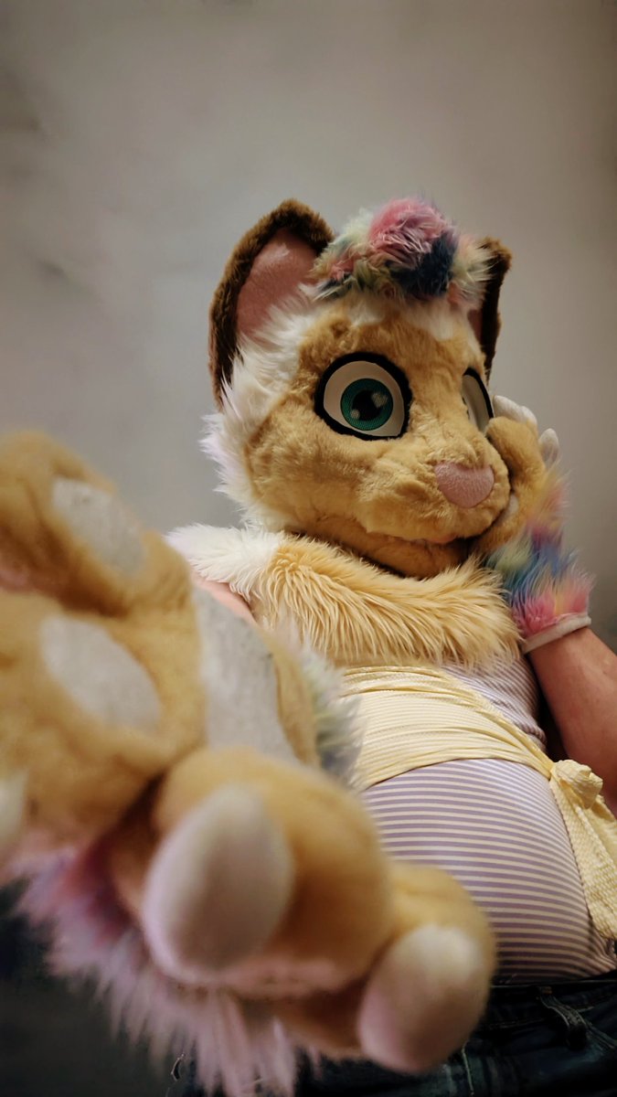 thymetime ➡️ 🦋 tweet media