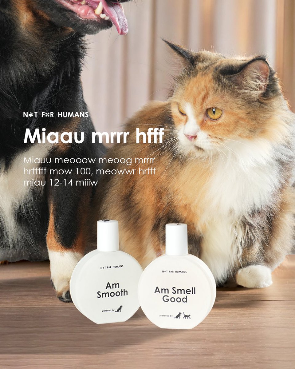 Not for Humans tweet media