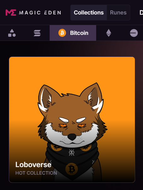 lobothewolfpup's tweet photo. Loboverse is Top 5 on @MEonBTC 

Wolfish on the Werewolves of Bitcoin. 🐺🫡 https://t.co/rgt3GX6i3a
