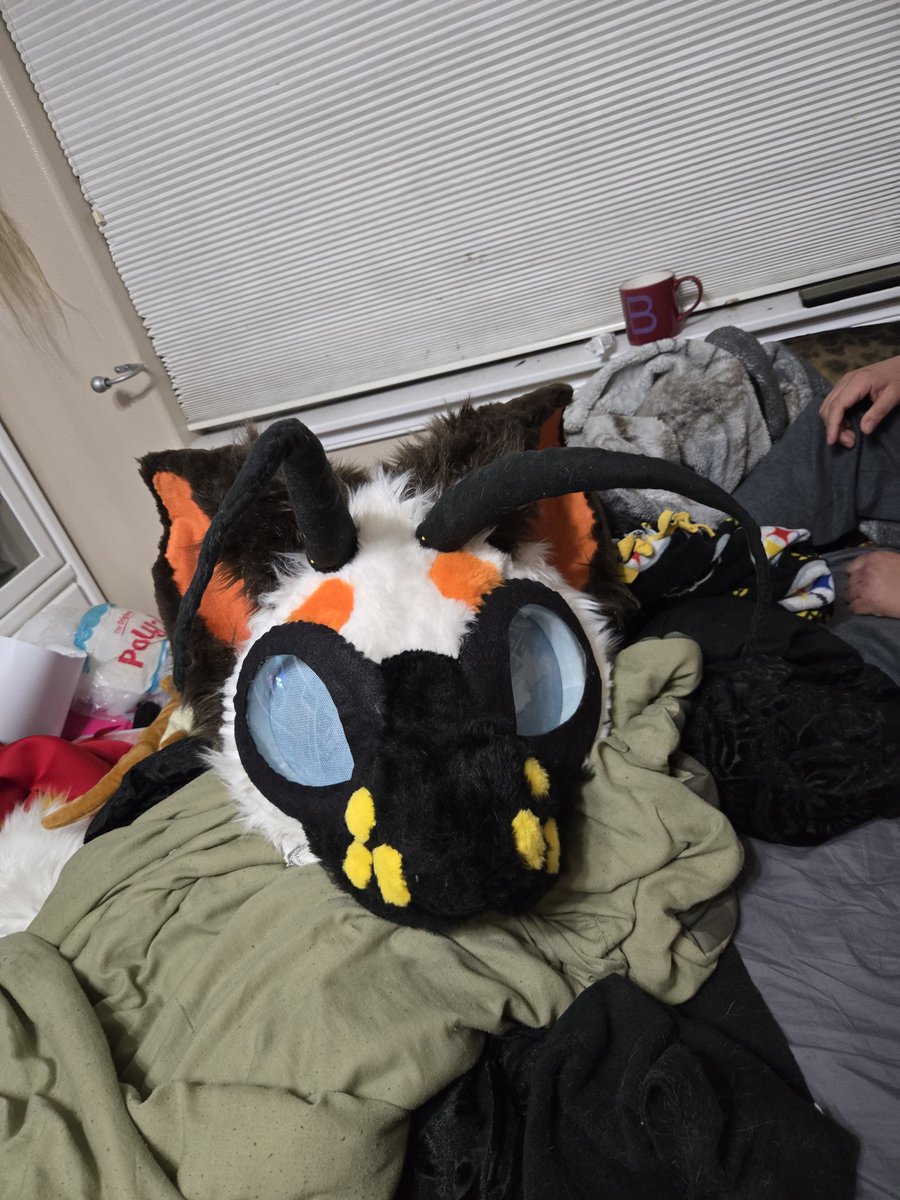 iamdurgen's tweet photo. Wip kitty bee picture! This will be a fullsuit up for auction starting at 2000 at ANW. The next step is sewing on his big neck puff! 

Whats your favorite bug!

#furry #furryfandom #fursuitmaker #fursuithead #fursuit #kittybee #bugfursuit #anthronorthwest #anw25 #anw #fursuitwip https://t.co/pTLUJF6blS
