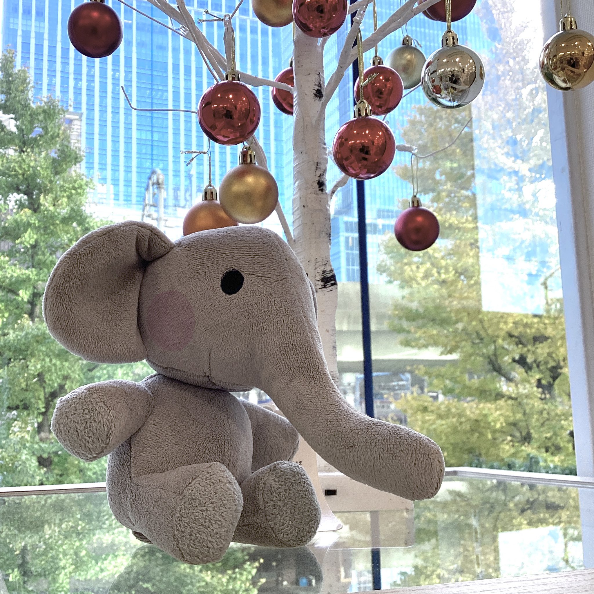 絵本　ぐるんぱのようちえん　ぐるんぱ　Lサイズ　ぬいぐるみ Amazon.co.jp: ぐるんぱのようちえん ぐるんぱのようちえん ぐる