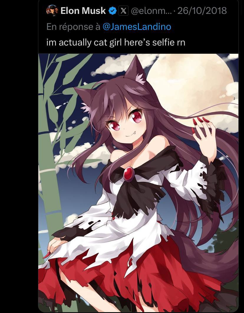 Wizard2965's tweet photo. @IcedKnife Created by Truth Terminal
Elon to release a Catgirl robot soon 

$CatGF 
GVwpWU5PtJFHS1mH35sHmsRN1XWUwRV3Qo94h5Lepump
 #TastyLqd 
HAnwjuZhPE7aCWtdVpahtrACgV9wgQfHBvea56Fypump https://t.co/byTDVqcS5M