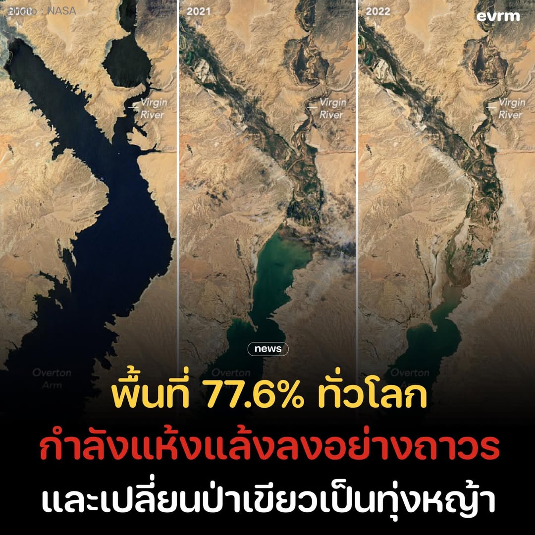 แผ่นดิน 3 ใน 4 ของโลกกำลังแห้งแล้งลงอย่างถาวรในช่วง 30 ปีที่ผ่านมา การเปลี่ยนแปลงสภาพอากาศกำลังทำให้ผู้คนกว่า 5 พันล้านคนประสบกับปัญหาขาดแคลนทรัพยากรน้ำรุนแรงขึ้นภายในปี 2100

ตามรายงานใหม่ที่เผยแพร่ผลวิจัยจากอนุสัญญาณสหประชาชาติเพื่อต่อต้านการกลายเป็นทะเลทราย (UNCCD)