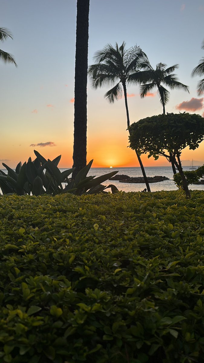 TimCupp6's tweet image. Dinner,drinks and a 10/10 sunset!!