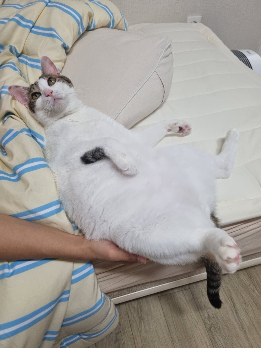 엄마가 떨어지지 않게 꿍디를 받쳐줄거란 믿음의 눈빛