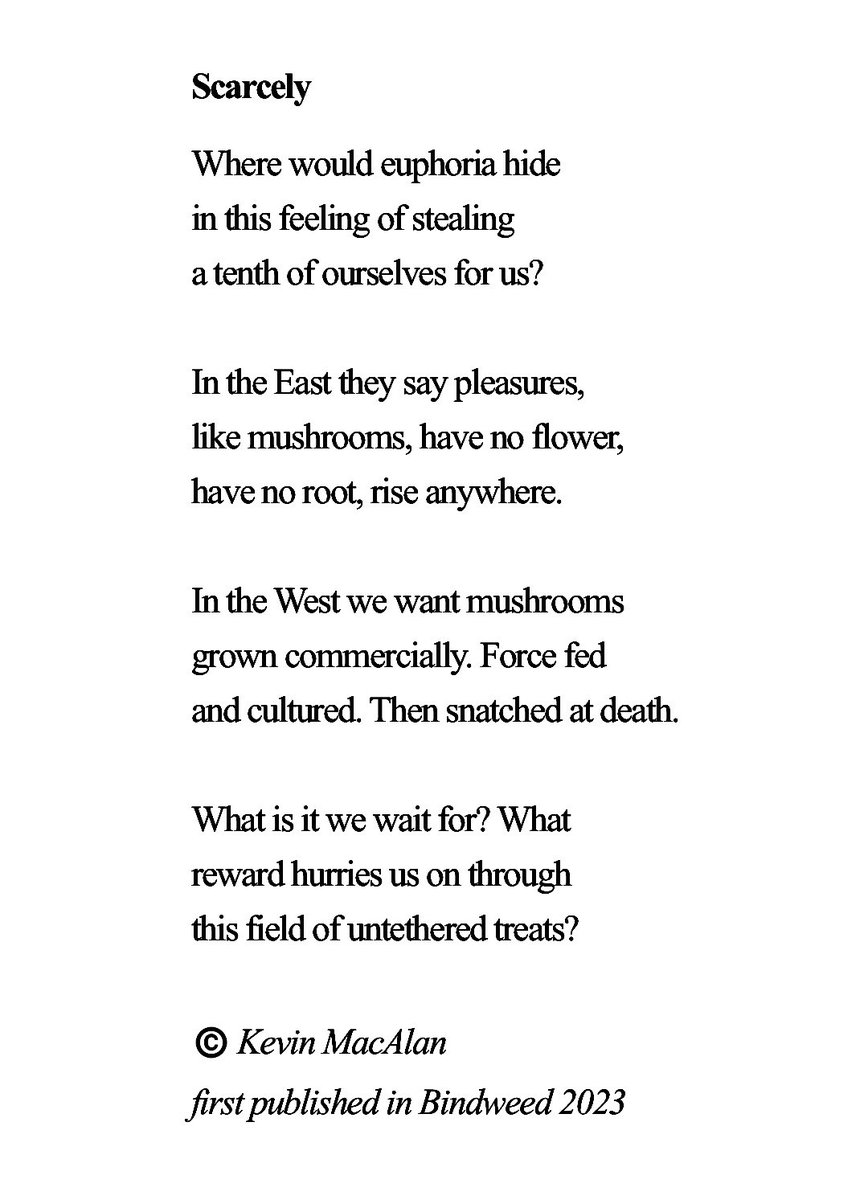 Kevin MacAlan tweet media