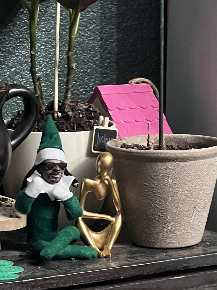 ajrenee's tweet image. #snooponastoop