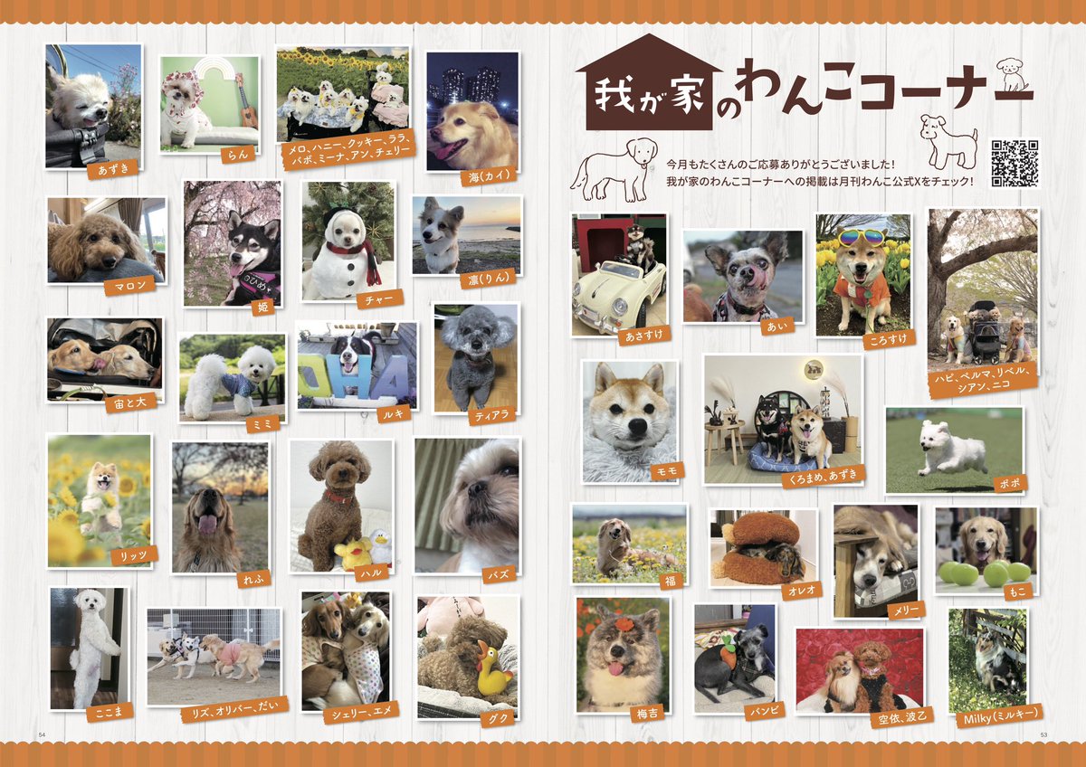 月刊わんこ編集部 on X