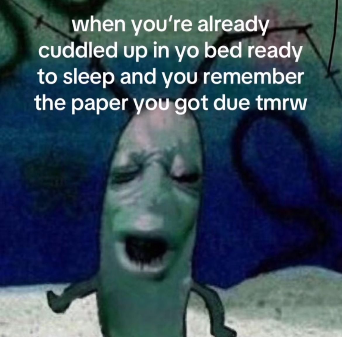 wildtiktokss's tweet image. 