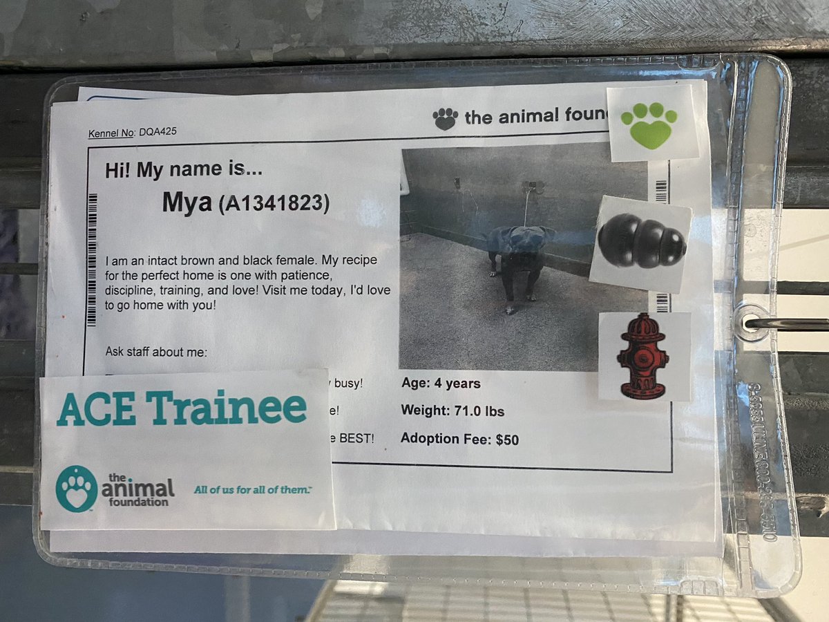 Vital Vegas tweet media