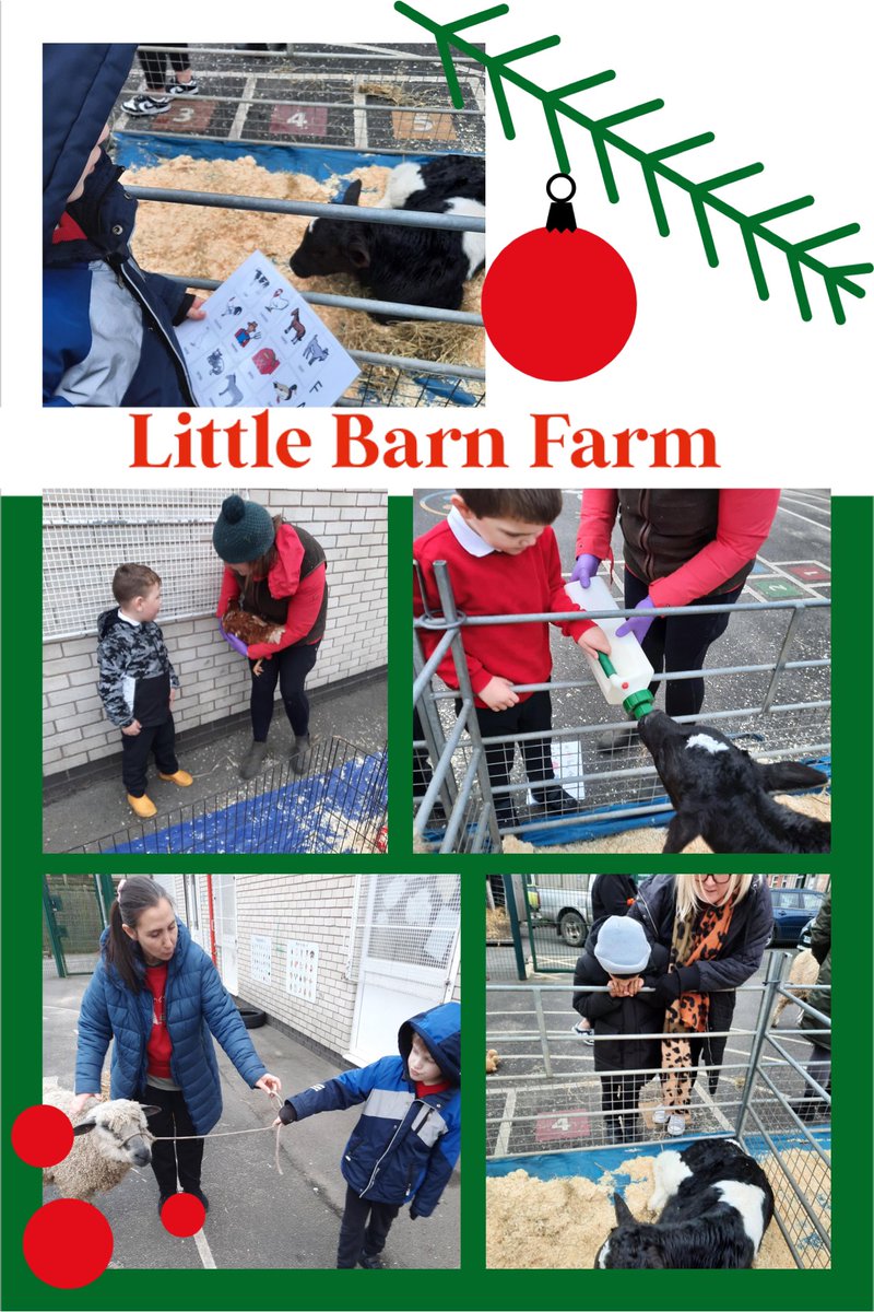 GreenFoldSchool's tweet image. Farmer Natalie brought the animals from Little Barn Farm to meet the children as they explored the sights, scents and sounds of the Nativity - what a fabulous way to learn!
#nativity #Christmas #SEND