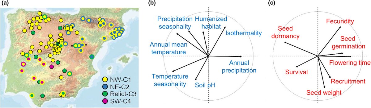 Arabidopsis root exudates reveal evolutionary trajectories driven by terpenoid compositions

Subrahmaniam et al. <a href="/JSubrahmaniam/">Jaishree Subrahmaniam</a> @FXPicoMercader <a href="/ThomasBataillon/">Thomas Bataillon aka ThomasBataillon@ecoevo.social</a> <a href="/MGlasius/">MG</a>

📖 nph.onlinelibrary.wiley.com/doi/10.1111/np…