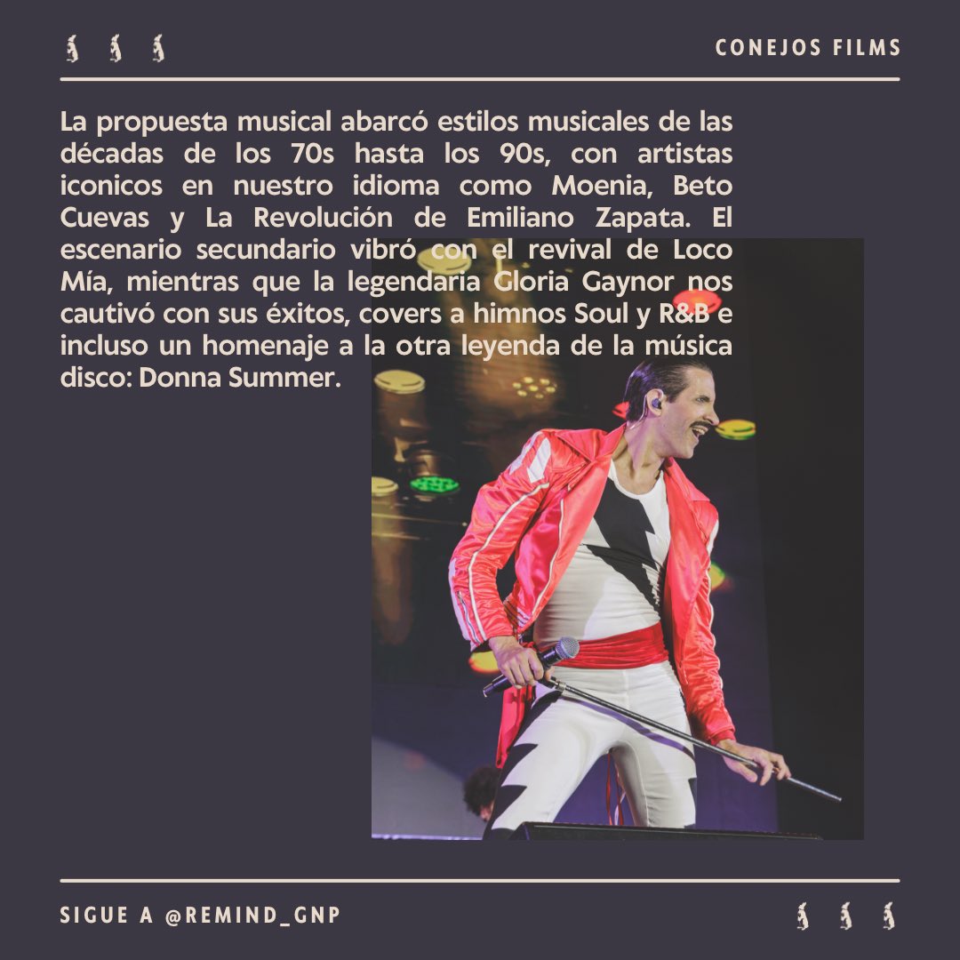 Conejos Films tweet media