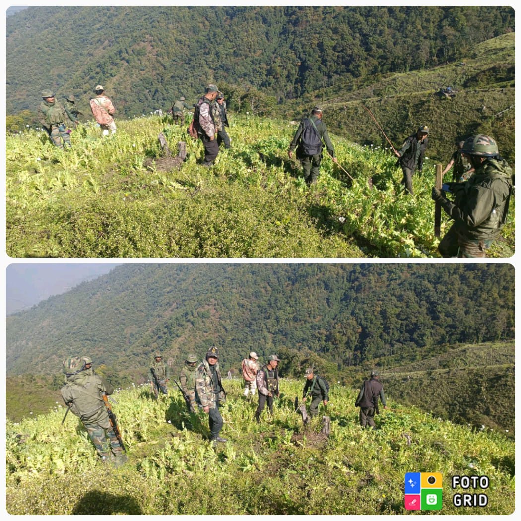 6 MR and Ukhrul Police destroying poppy cultivation in Khamasom village, Ukhrul, #Manipur on 12/12/24. It is being planted everywhere, so why is #BirenSingh targetting only #Kuki_Zo as #NarcoTerrorists? If this is not divisive, what is? <a href="/BDUTT/">barkha dutt</a> <a href="/palkisu/">Palki Sharma</a> <a href="/jeegujja/">Greeshma Kuthar</a> <a href="/ZO__UNITED/">Zounited</a>