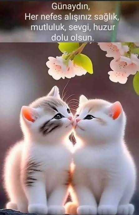 Günaydın mutlu sabahlar...
#günaydın....