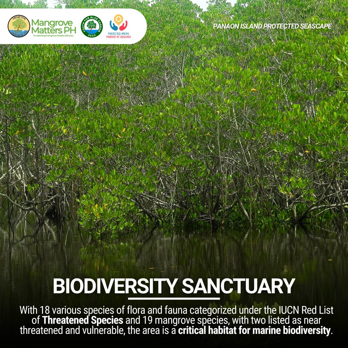 Get to know our 9th proposed protected area! 👇

Located in the Southern Leyte province, the Panaon Island Protected Seascape is a marine treasure spanning 61,204 hectares across the municipalities of Liloan, San Francisco, Pintuvan, and San Ricardo.