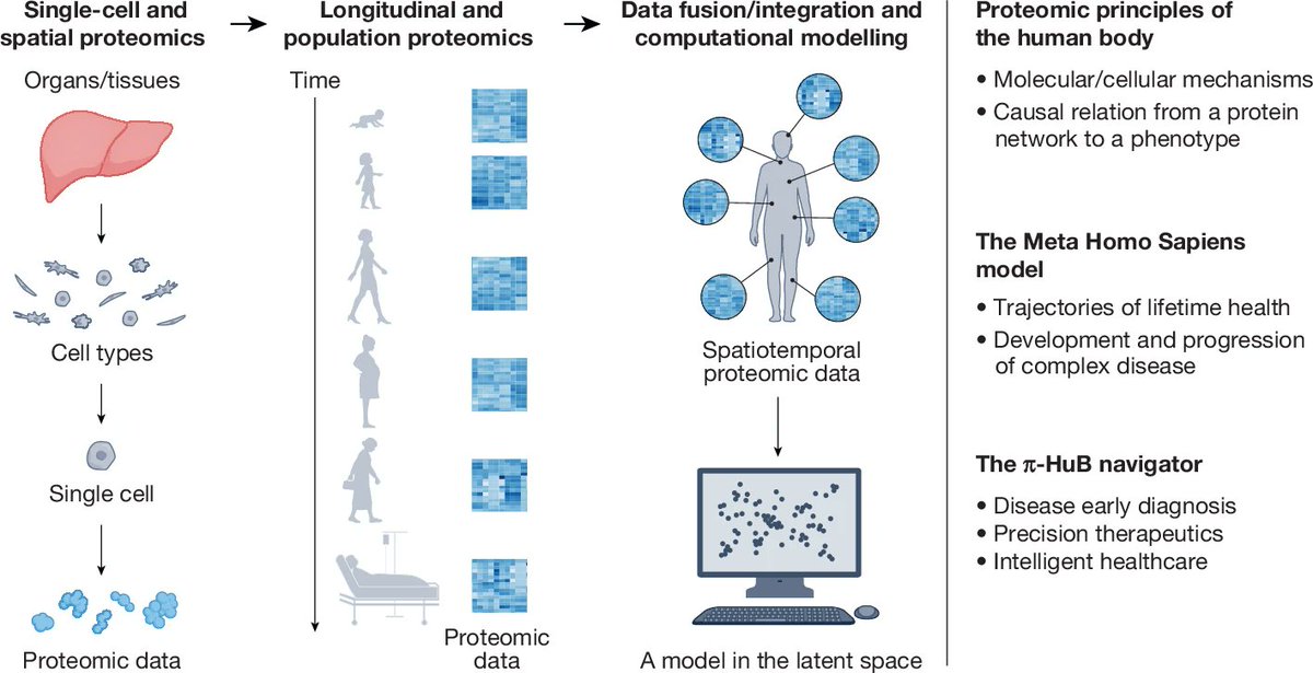 🚀π-HuB: The Proteomic Navigator of the Human Body 
A groundbreaking initiative to map the human proteome with unprecedented scale and precision.
Read our perspective in Nature: nature.com/articles/s4158…