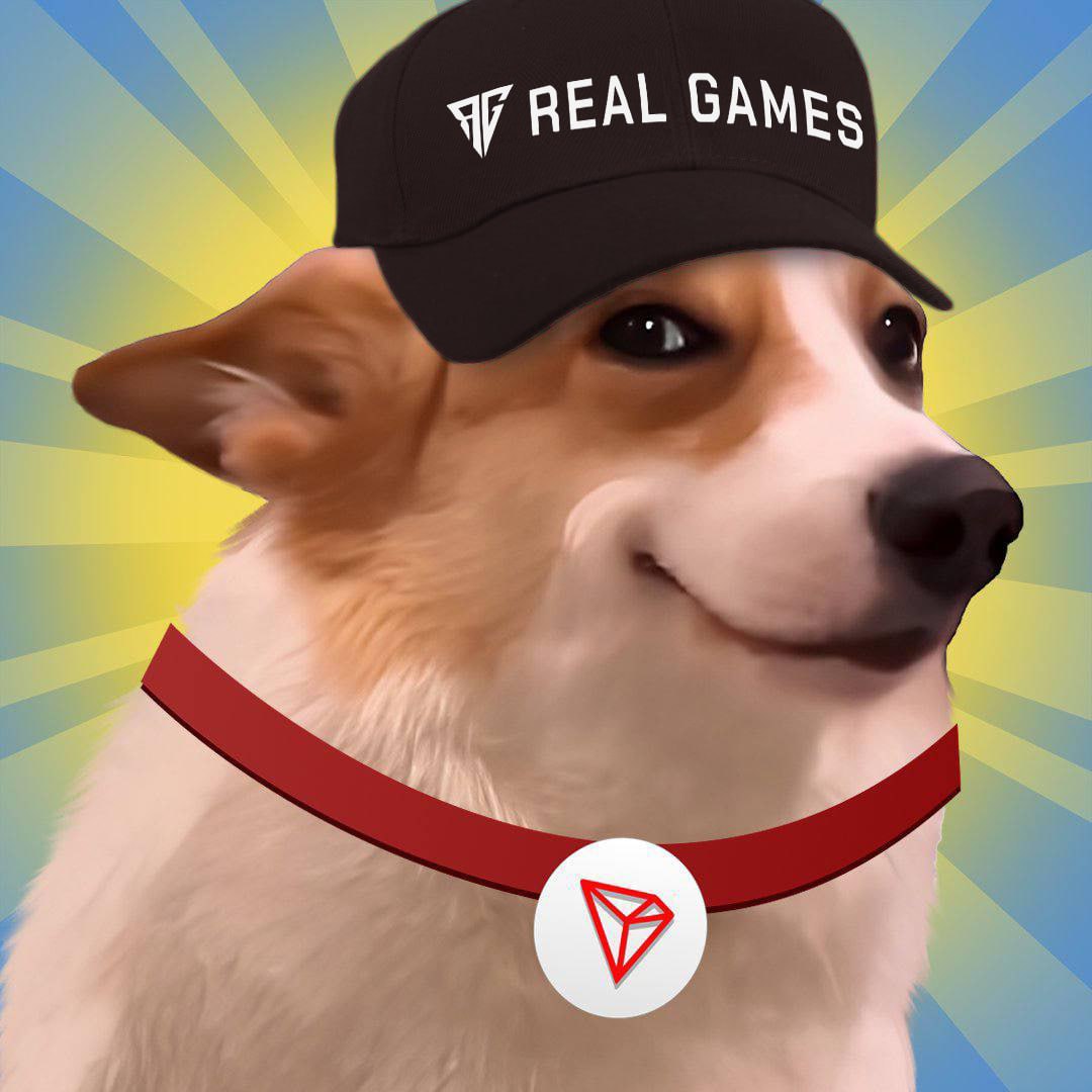 SUNDOG_TRX's tweet photo. We are going to the sun with @real_games_app 💛🤝

Deposit $SUNDOG, purchase lottery tickets and win prizes🕹️ 

Join the game here: https://t.co/VPtpVeYHm2 https://t.co/bcZid9NXQS