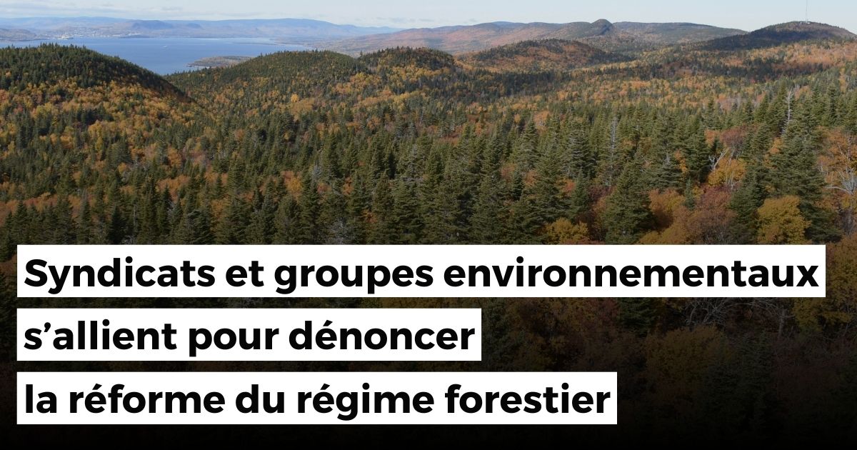 Nature Québec tweet media