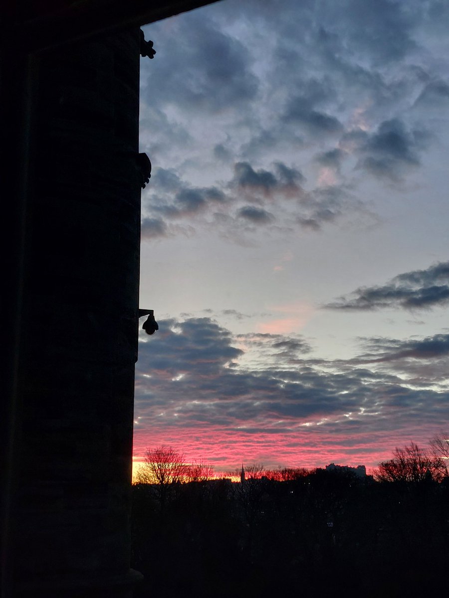 Fettes Humanities tweet media